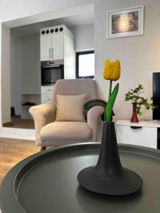 Location 3-floor With 6 Bedrooms Villa Tirana